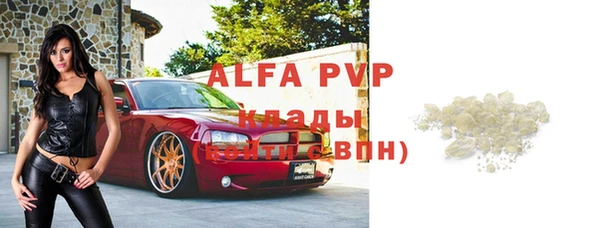 гидра Арсеньев