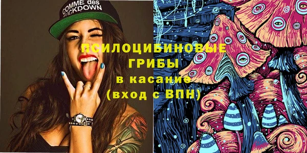 гидра Арсеньев