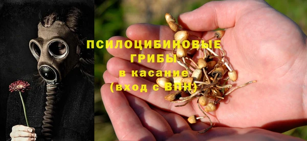 гидра Арсеньев